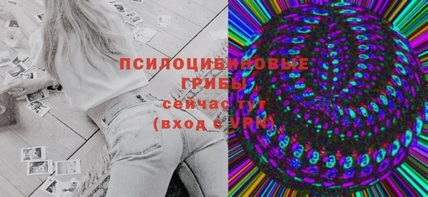 стафф Богородицк