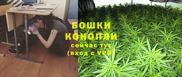 стафф Богородицк