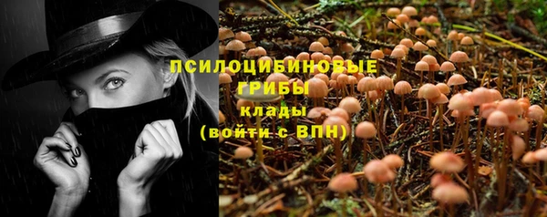 стафф Богородицк