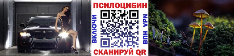 Галлюциногенные грибы Psilocybe  Назарово 